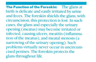Scanned 'The Function of the Foreskin' section from the AAP's 1984 pamphlet Care of the Uncircumcised Penis, stating that meatitis and meatal stenosis 'virtually never occur' in uncircumcised penises.